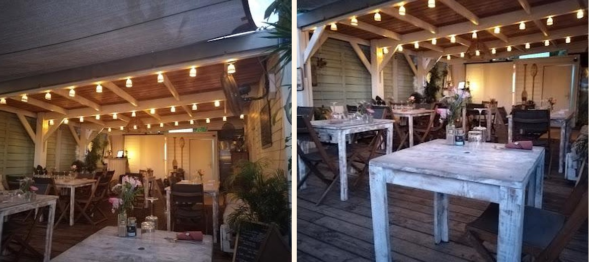 MAHI MAHI - Gallery Image 4